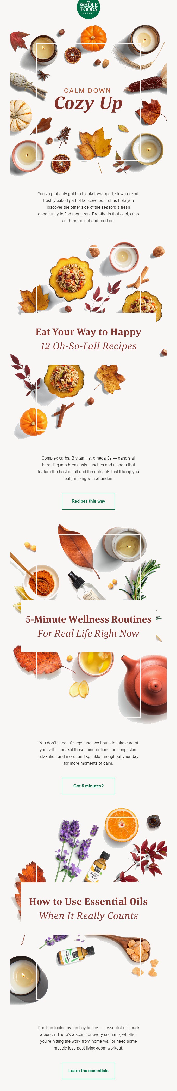 Whole Foods Fall 2020 Recipes Email Design
