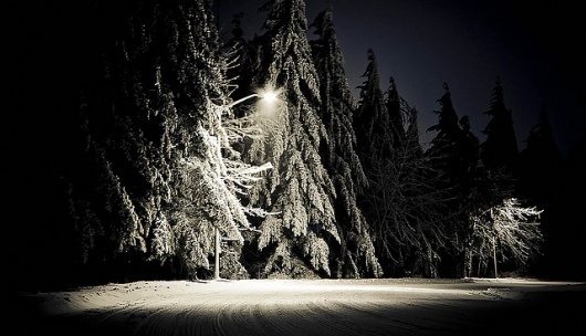 blanket | Flickr - Photo Sharing! #winter #photography #snow #oregon