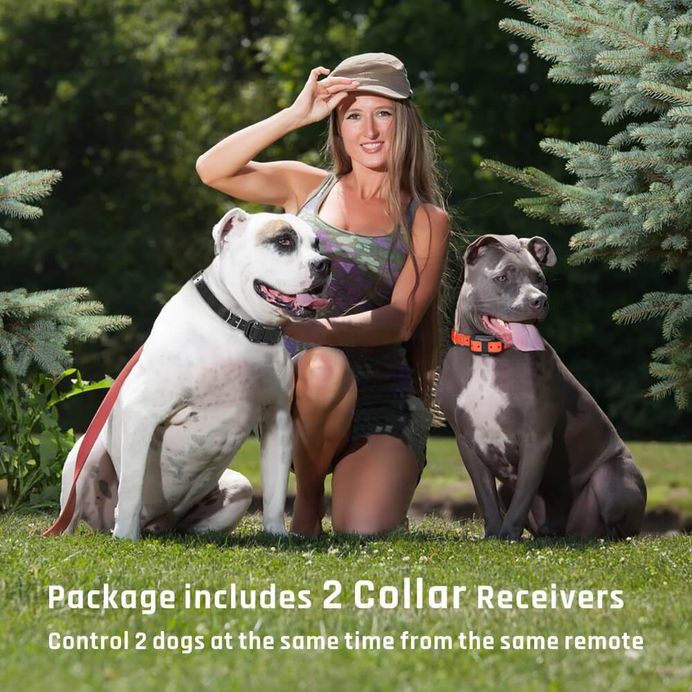 Dog Training Collar
