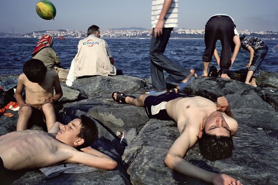 Alex Webb