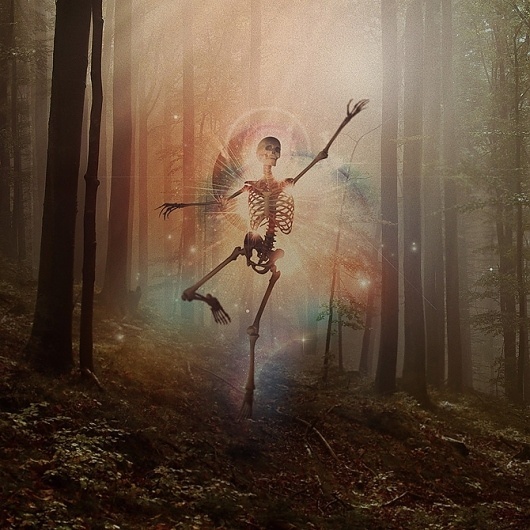 Electric Heat / The Commercial Portfolio of Nigel Evan Dennis #forest #album #skeleton #dancing