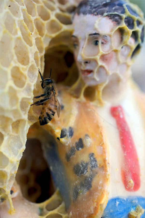 Artist Aganetha Dyck Collaborates with Bees to Create Sculptures Wrapped in Honeycomb #photo #beeswax #sculpture #bee