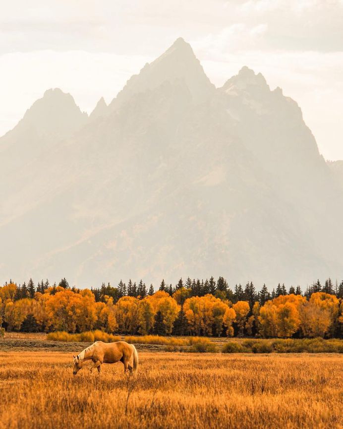 #nakedplanet: Outstanding Nature Landscapes by Josh Packer