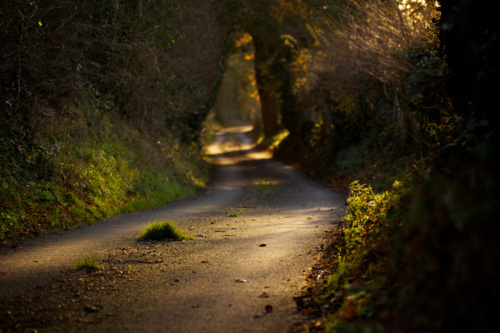 Wickham Hall Lane by Stuart Miller #driving #road #best