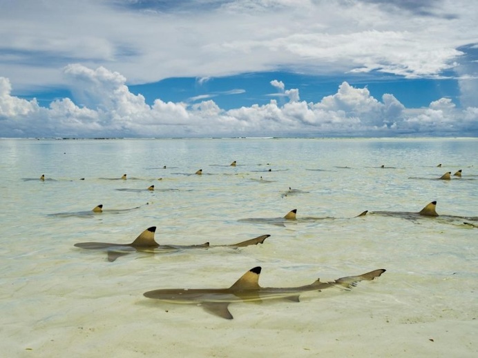 National Geographic Unveils Its 50 Most Beautiful Travel Photos Of 2016's