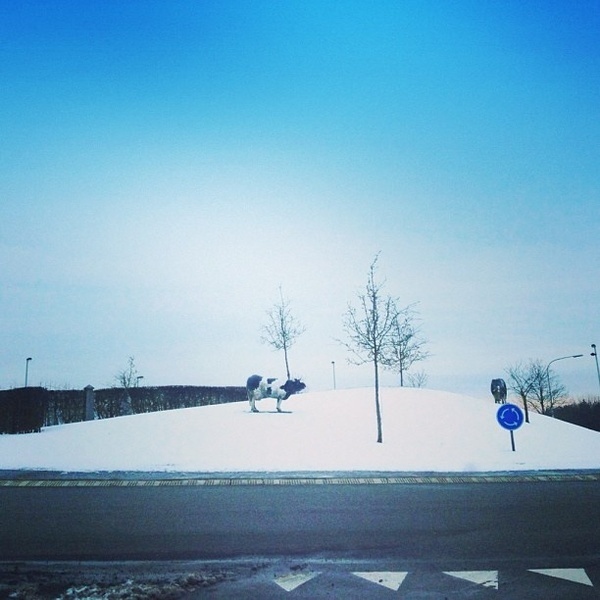 Instagram of Manon Wethly #photography #iphoneography #instagram