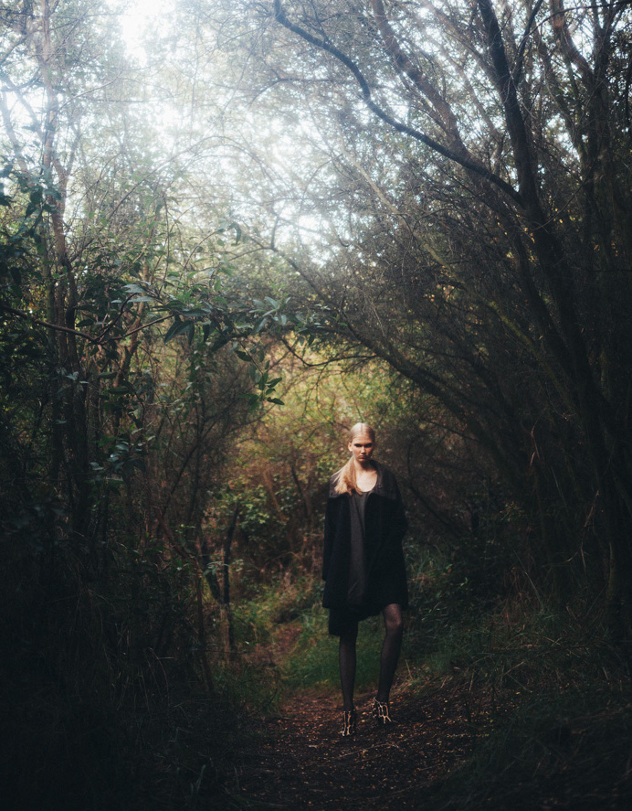 #forest#trees#model