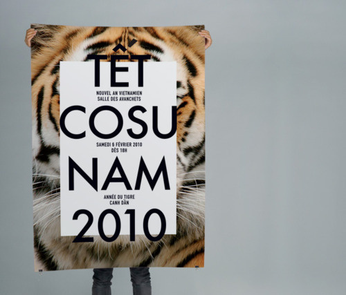 drapht #tiger #2010 #poster #typography