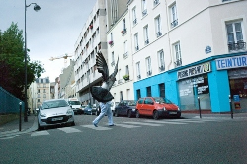 two cute dogs (Paris on Flickr.) #photography #color #bird #street