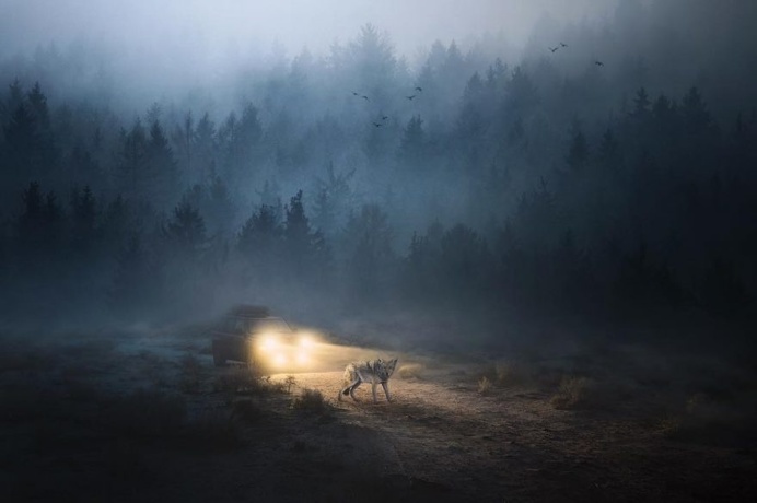 Dreamlike Landscape and Adventure Photography by Brendan Williams