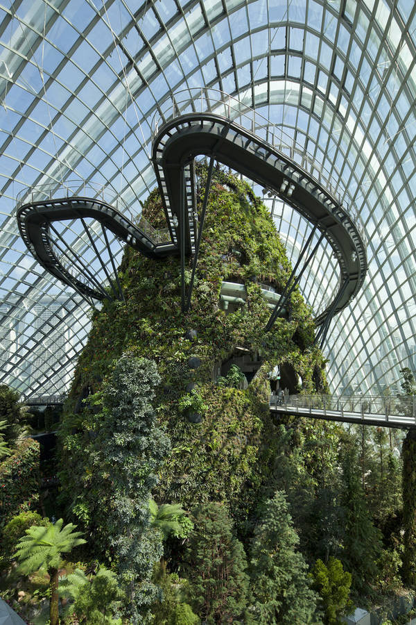 CJWHO ™ (Cooled Conservatories at Gardens by the Bay in...) #design #photography #architecture #art #garden #singapore #green