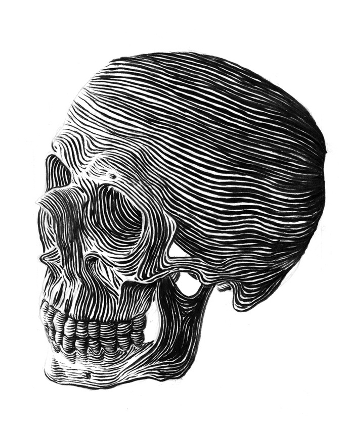 Skull - Ross McCampbell #illustration #black and white #skull #bones #skeleton #head #ink #sketch #drawing