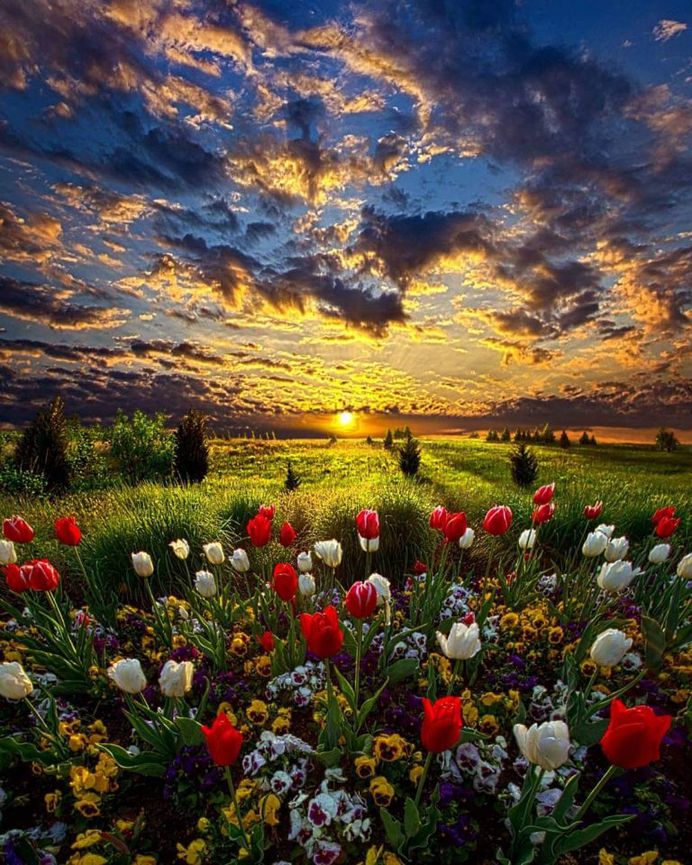 Horizons: Spectacular Landscapes of Wisconsin by Phil Koch