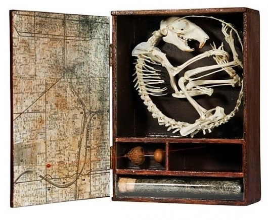 MATT HALL - MARCH 2012 #dead #sculpture #animal