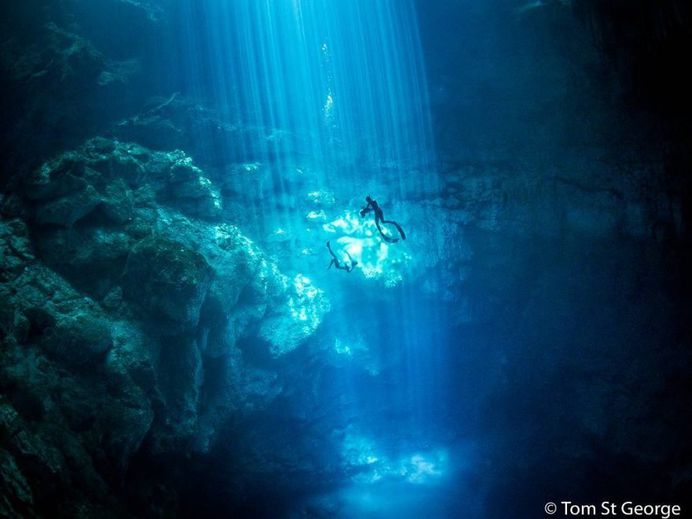 Incredible Underwater Photography by Tom St George