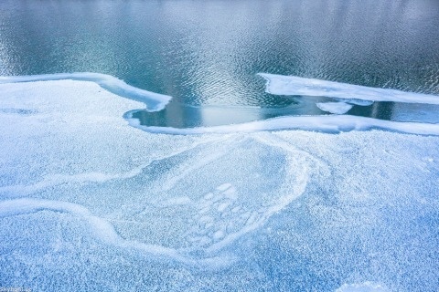 Michael Salisbury | PICDIT #photo #photos #photography