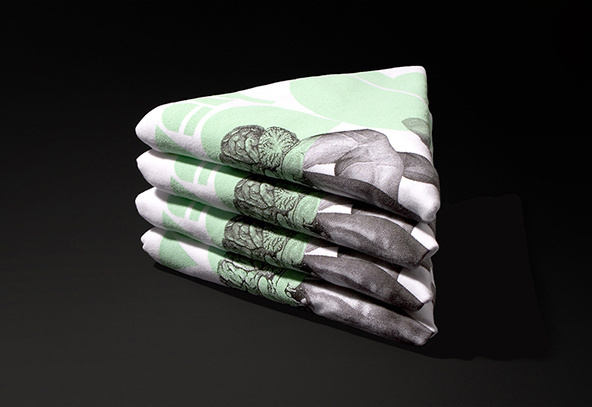 25 Cool T-shirt Packaging Design Examples xe2x80x93 Part 2 #packaging #design #graphic #shirts