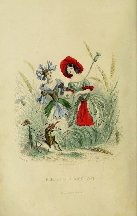 The Flowers Personified (1847) | The Public Domain Review #illustration #1847