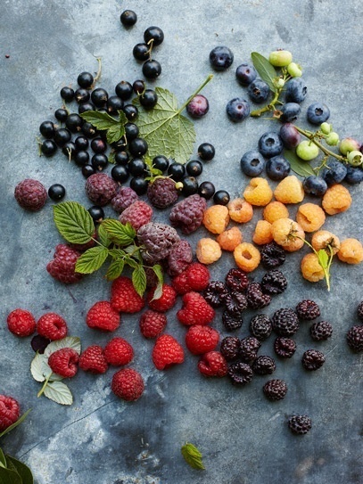 Askr•Archiverr•BIO #food