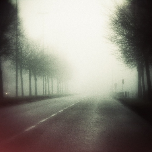 DANIEL JOURNAL #fog #johansson #mist #photography #daniel