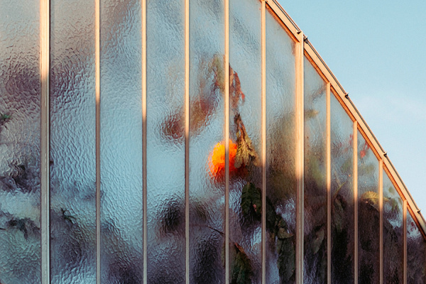 Samuel Zeller | PICDIT