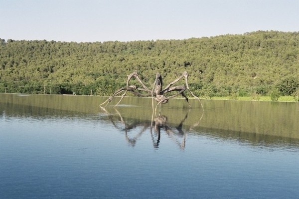 Photography by Marion Berrin #inspration #photography #art