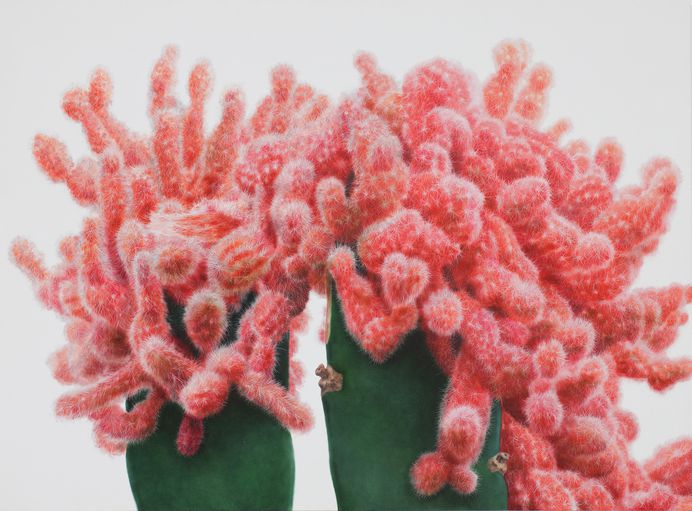 Colossal | Art, design, and visual culture. | Page 9