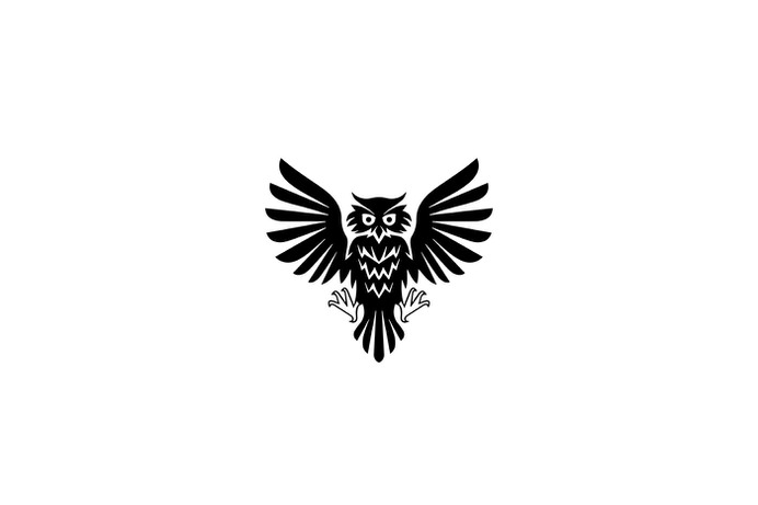 Owl by Egor Kevroletin