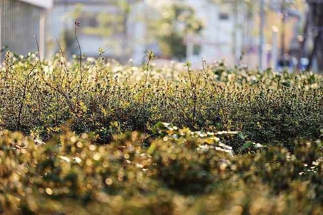 Photography by F. Suzuki #inspiration #photography #art