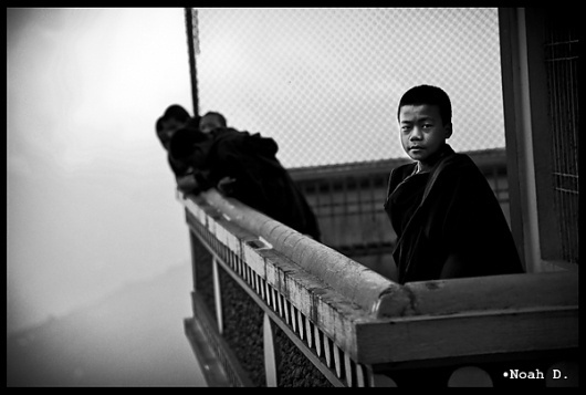 Photo Profile : Noah Darnell -Seven by Five #photography #white #black #and