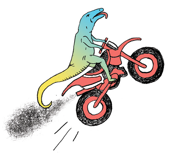 New York Times Magazine Spots 2—Paul Windle #illustration #motorcycle #lizard #moto