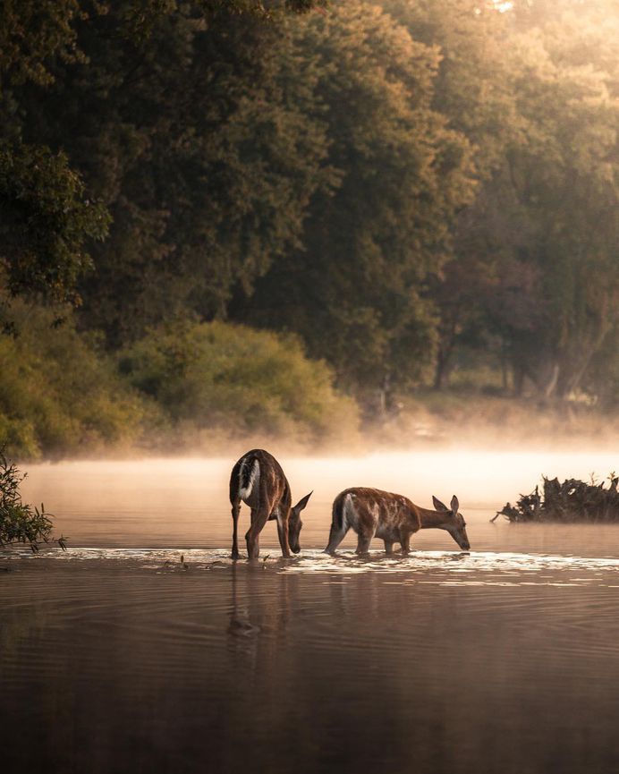Fantastic Nature Photography by Logan Brown