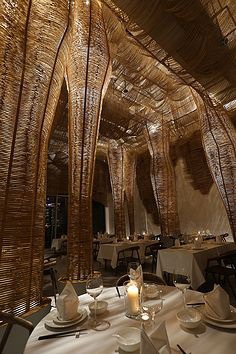 Growing of Things by FengYu / Devebuild www.devebuild.com