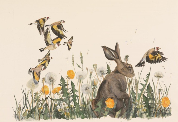 Jackie Morris' Lost Words shortlisted as nation's favourite nature book | Western Telegraph