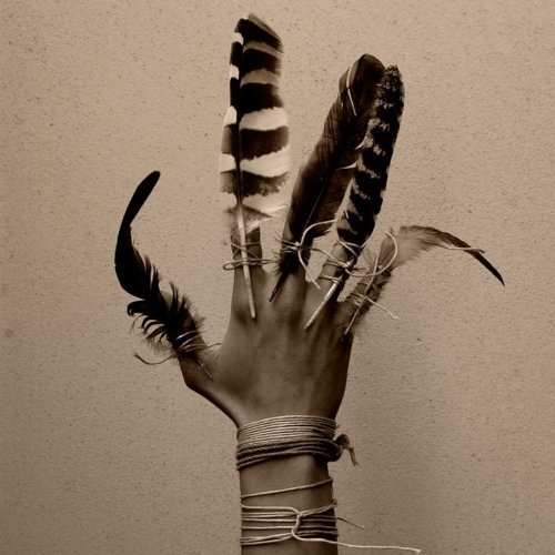 +++wolf+willow+++ #old #feathers #photography #art #hand
