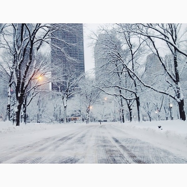 Instagram of Emily Rosser #inspration #photography #art