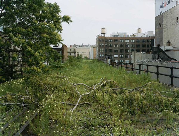 Joel Sternfeld | Friends of the High Line #sternfeld #line #joel #nature #york #nyc #high #new