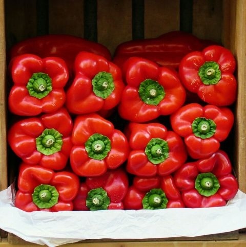 #photography#picture#red#vegetables