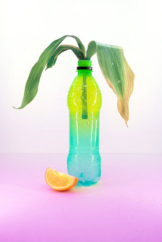 bottle