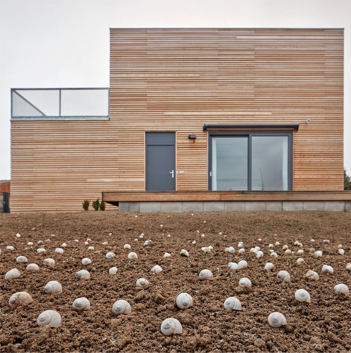 A Wooden Modular Family House Built in One Day - InteriorZine