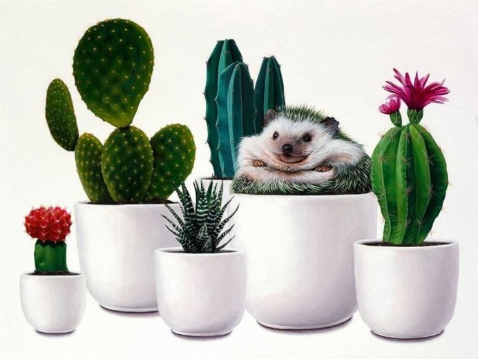 Meticulous Paintings of Animals and Objects by Jacub Gagnon