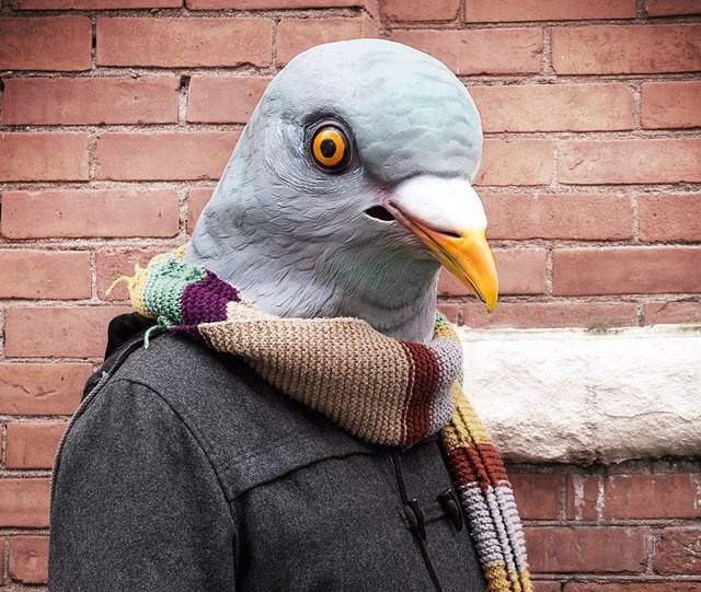 Pigeon Mask #tech #flow #gadget #gift #ideas #cool