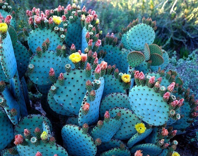 Templo- Brand Inspiration. Niice