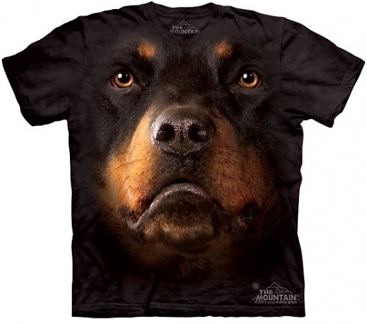 Bem Legaus!: Camsietas animais #tshirt #dog