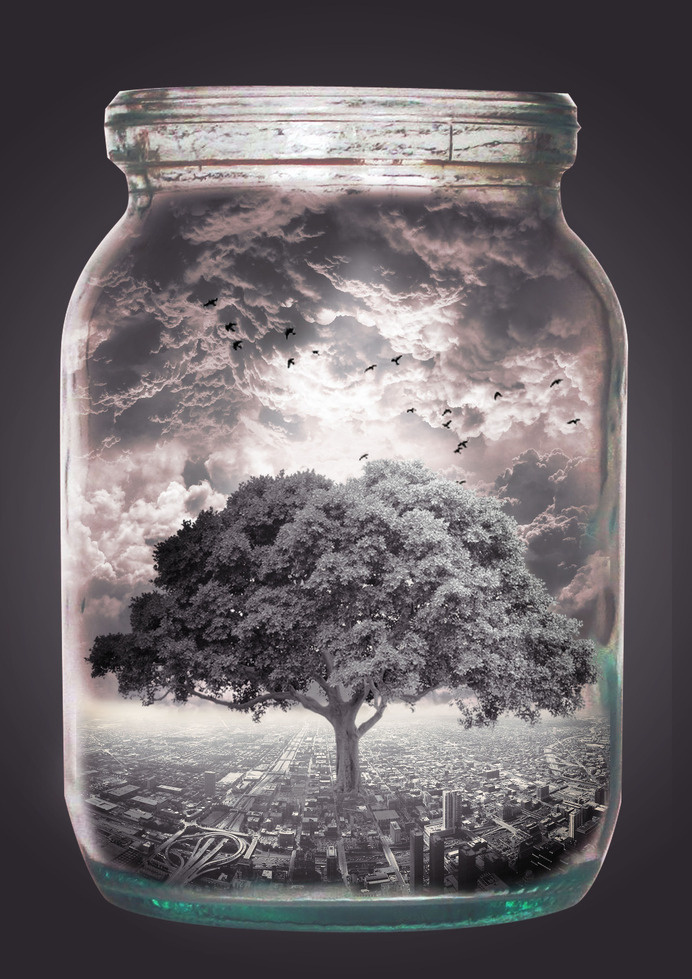 Bottled Life #universe #fantasy #tree #photo #microcosm #world #jar #manipulation #collage #life