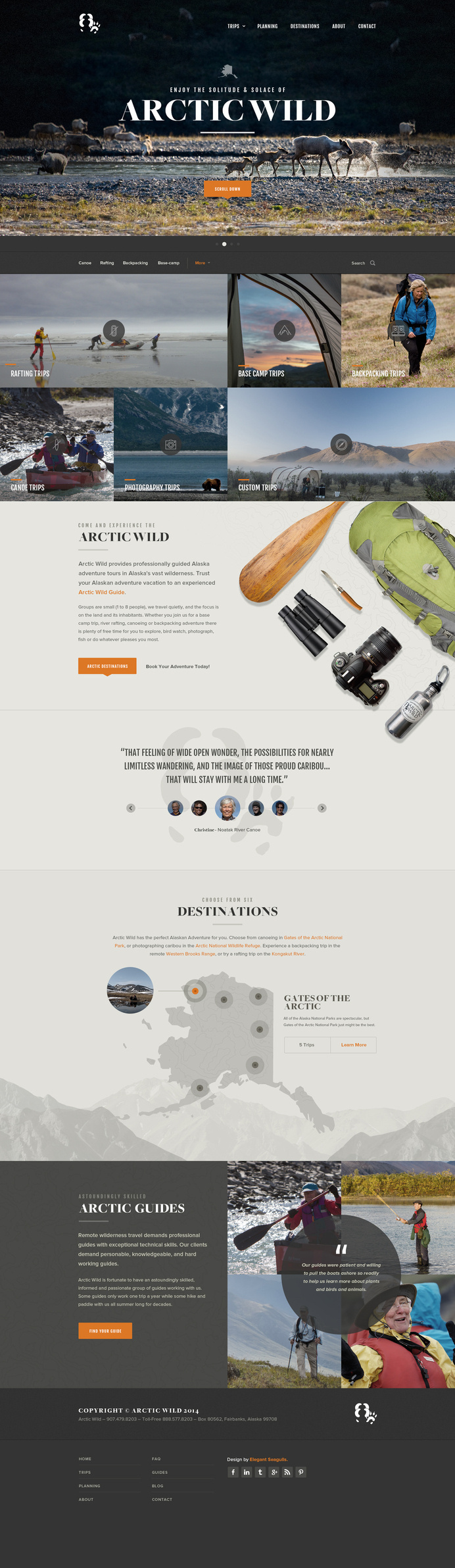 Arctic WIld by Elegant Seagulls #webdesign #website #wide #explore
