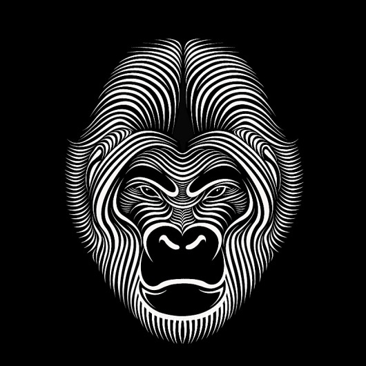 Looks like good Illustrations by Patrick Seymour #illustration #gorilla