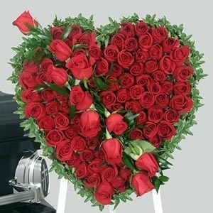 flowers - Google Images #lovely #roses