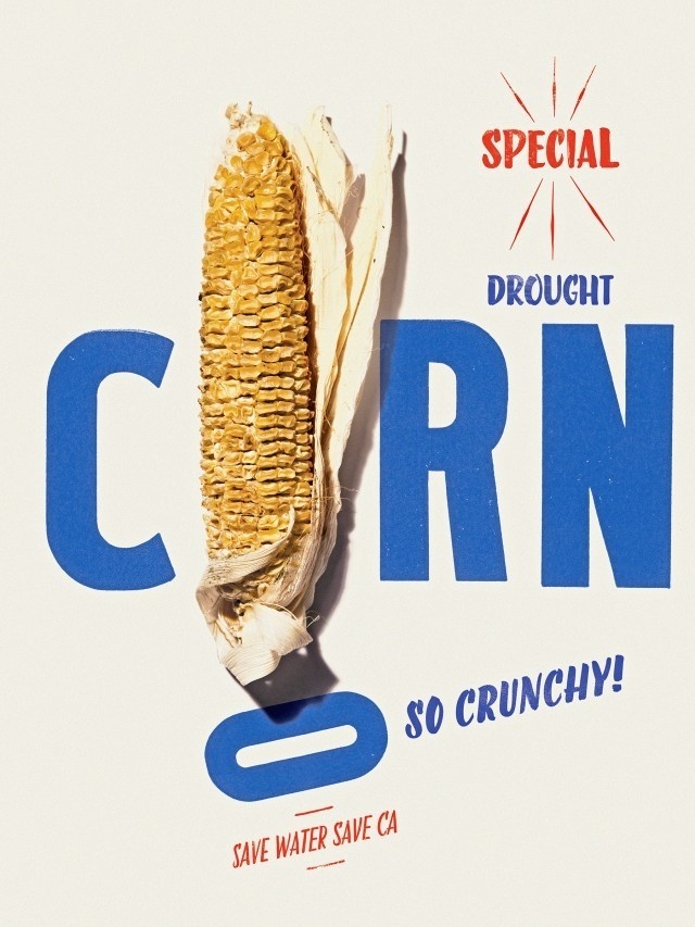 DROUGHT_POSTER_CORN #drought #california #poster #corn