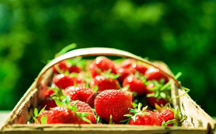 Strawberries Bokeh